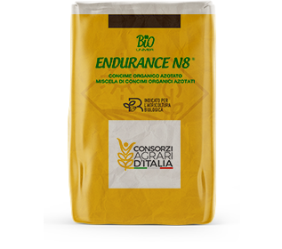 Endurance n8