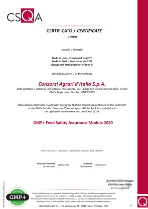 Certificazione